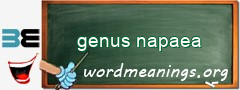 WordMeaning blackboard for genus napaea